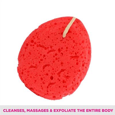 Vega Sea Bath Sponge (BA - 3/15) 25 gm - Loofahs & Sponges