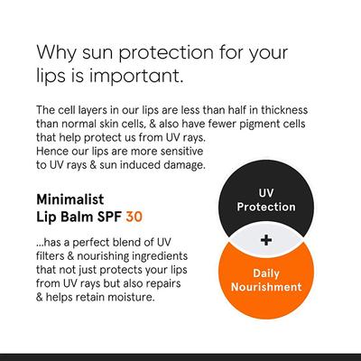 Minimalist SPF 30 Lip Balm with Ceramides & HA for lip protection & nourishment 8 gm - Lip Balms