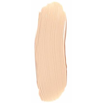 Matt Look Perfect Oil Free Concealer, Face Makeup, Natural Light 8 gm - Concealer