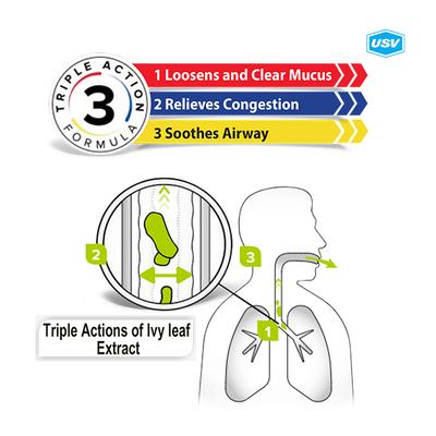 Prospan Syrup 100ml - Ayurvedic Medicine-AYU