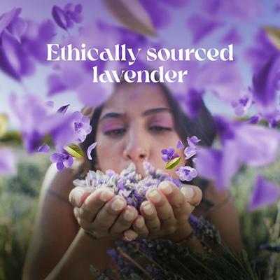 Love Beauty And Planet Argan Oil and Lavender Sulfate Free Smooth and Serene Shampoo 400 ml - Shampoos