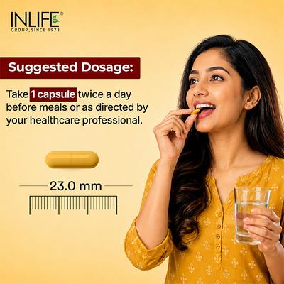 INLIFE Curcumin 95 Advanced 500 mg Vegetarian Capsule 60's - Herbal Dietary Supplement