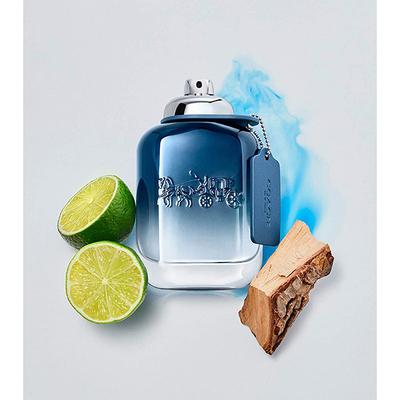 Coach Blue Eau De Toilette 100 ml - Men Perfumes (Edt/Edp)