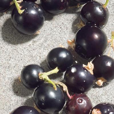 Dolce&Gabbana Dolce Violet Edt 75 ml - Women Perfumes (Edt/Edp)