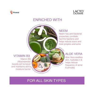 Lacto Calamine Oil Control Face Wipes with Neem, Vitamin B3 and Aloe Vera, No Parabens, Alcohol Free, White, 60 Count 1's - Facial Wipes & Tissues