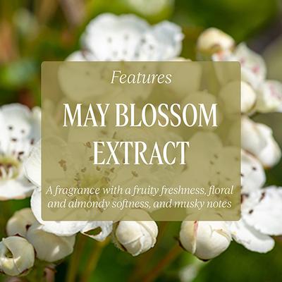 L'Occitane Noble Epine Shower Cream 250 ml - Shower Gels & Body Wash