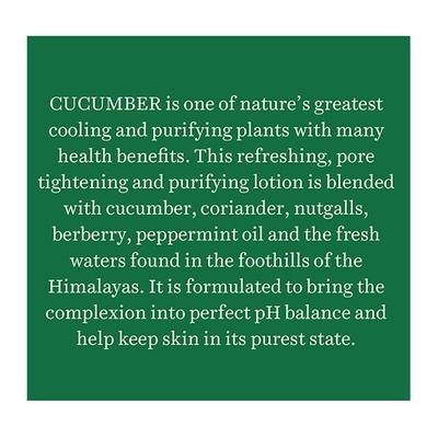 Biotique Bio Cucumber Pore Tightening Toner with Himalayan Waters - Normal to Oily Skin 120 ml - Face Wash & Cleansers