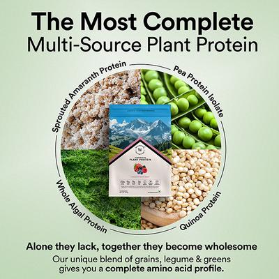 Wellbeing Nutrition Organic Vegan Plant Protein Isolate Powder - 22g Protein, 5g BCAA 500 gm - Whey Proteins
