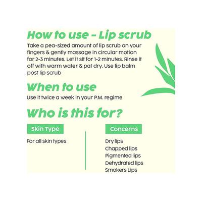 PLIX Pomegranate Lip Care Combo, Exfoliating Scrub and Plumping Lip Mask For Dark, Dry & Chapped Lips, Cocoa Butter & Chiuri Butter, Vitamin C & E 15gm each 2's - Lip Stains & Tints