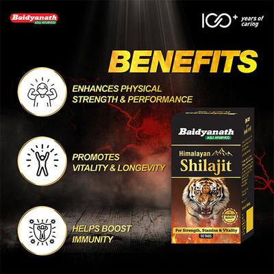 Baidyanath Himalayan Shilajit Tablet 50's - Sexual Healthcare