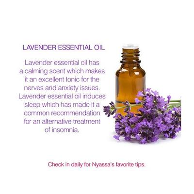 Nyassa Lavender Essential Oil 100% Pure & Natural 10 ml - Essential Oils