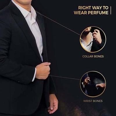 Wild Stone Whiskey Perfume for Men 100 ml - Men Perfumes (Edt/Edp)