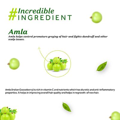 Atulya Amla Organic Powder 100 gm - Conditioners