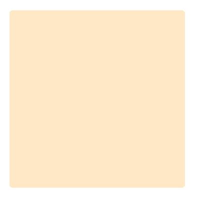 Bonjour Paris Photo Match Crayon Concealer - Classic Ivory 3.2 gm - Concealer