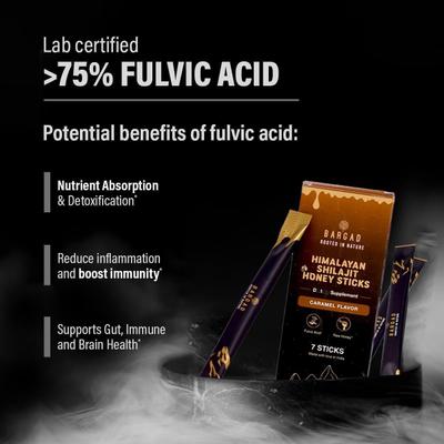 Bargad Himalayan Shilajit Honey Sticks - Caramel Flavour 7's - Speciality Medicines