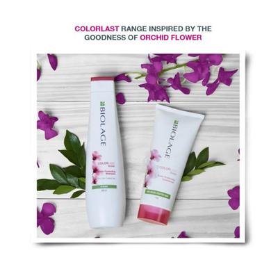 BIOLAGE Colorlast Shampoo 400 ml - Shampoos