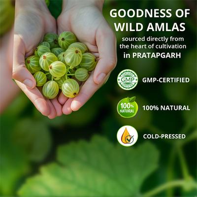 Vansaar 45+Amla Juice 1 L - Ayurvedic Juices