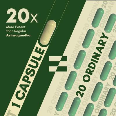 Rasayanam Ashwagandha KSM66 500 MG Capsules 60's - Sexual Care