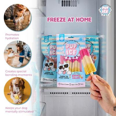 Pup Ice Rocket Lollies Yoghurt Strawberry & Banana Flavour 2's - Petfood