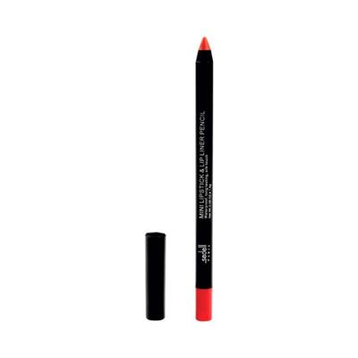 Sedell Professional Mini Lipstick and Lip Liner Pencil 05 Shade 1.8 gm - Lip Liners