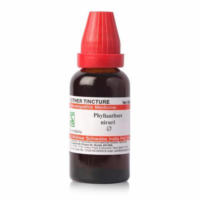 Dr.Willmar Schwabe Phyllanthus Niruri Q Mother Tincture 30 ml - Mother Tincture