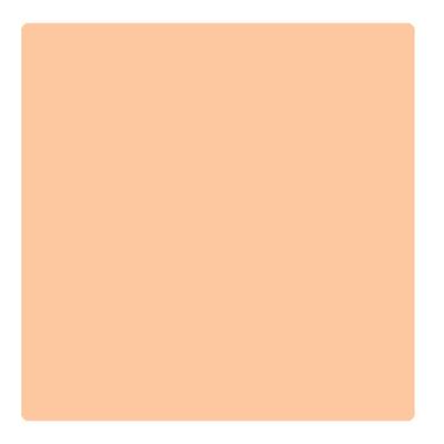 Bonjour Paris Photo Match Crayon Concealer - Nude 3.2 gm - Concealer