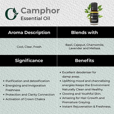 Organic Forest 100% VEGAN Camphor Essential Oil 10 ml - Essential Oils