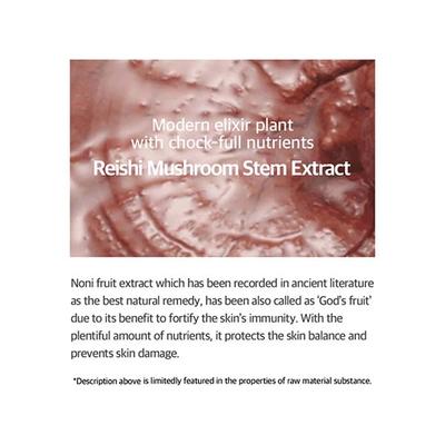 Mixsoon Reishi Mushroom Essence 100 ml - Face Serum