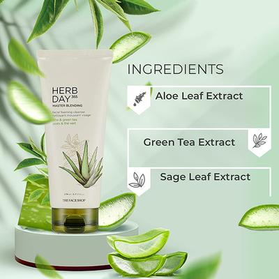 The Face Shop Herb Day 365 Cleansing Foam Aloe 170 ml - Face Scrubs