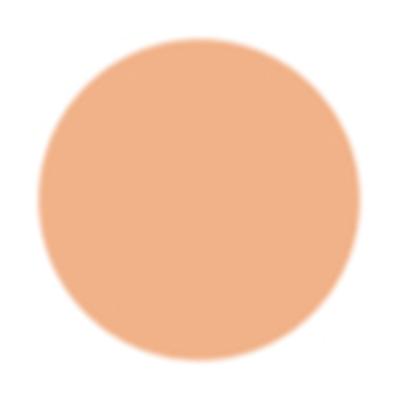 Pac Spotlight Liquid Concealer 08 Barely Nude 15gm - Concealer