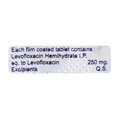 LEVONOX 250 Tablet 10's - Bacterial Infections-Qui