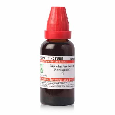 Dr.Willmar Schwabe Negundium Americana (Acer Negundo) Q Mother Tincture 30 ml - Mother Tincture