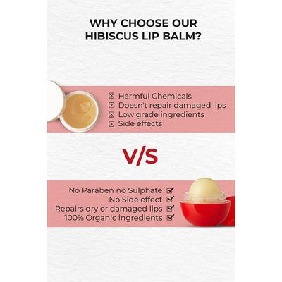 Organic Harvest Strawberry Non Colored Lip Balm 8 gm - Lip Balms