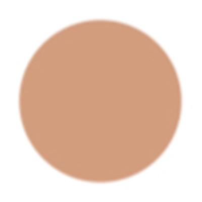 PAC Take Cover Concealer 02 Barefoot 6.8 gm - Concealer