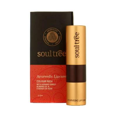 SoulTree Lipstick Shiny Blush 555 4 gm - Lipsticks