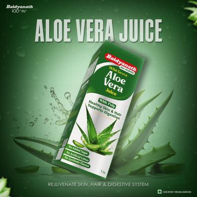 Baidyanath Wild Grove Aloe Vera Juice 1 L - Ayurvedic Juices