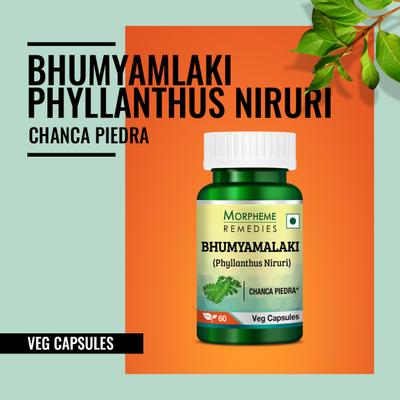 Morpheme Remedies Bhumyamalaki (Phyllanthus Niruri) Veg Capsule 60's - Herbal Dietary Supplement