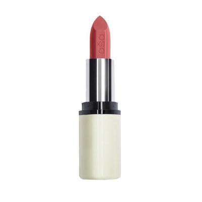 asa Ravishing Rose C32 4.2 gm - Lipsticks