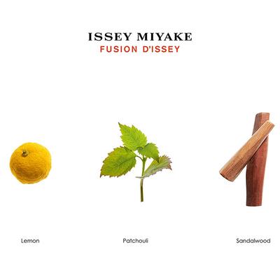 Issey Miyake Fusion d Issey EDT 150 ml - Men Perfumes (Edt/Edp)
