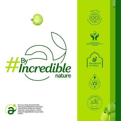 Atulya Amla Organic Powder 100 gm - Conditioners