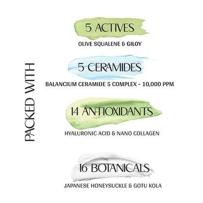 Mintree Certified Organic Olive Body Butter, Nourishes and Moisturizes, 72Hrs Hydration 150 gm - Creams, Lotions & Oils