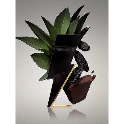 Carolina Herrera Bad Boy Eau De Toilette 50 ml - Women Perfumes (Edt/Edp)