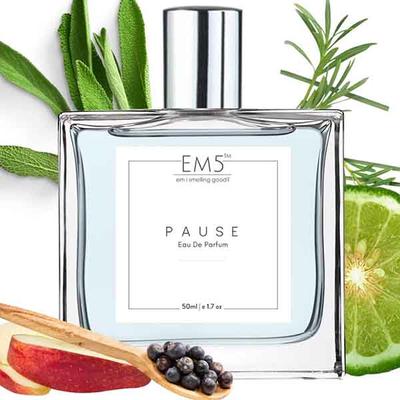 EM5 Pause Perfume for Men - Eau De Parfum Spray, Aromatic Fresh Amber 50 ml - Men Perfumes (Edt/Edp)