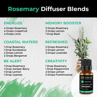 Organic Forest 100% VEGAN Rosemary Essential Oil 10 ml - Essential Oils