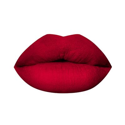 PAC Timeless Matte 12H Longlasting Rich Pigment One Swipe Payoff Smudgeproof - Miss Chief (6.5 ml) - Liquid Lipsticks
