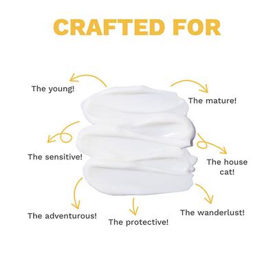 SEEKCAUS Sunscreen 80 gm - Face Sunscreen