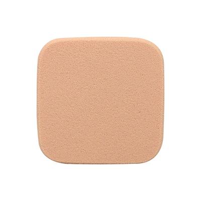 Half N Half Oil Control Powder, Light - 02 10 gm - Compact Powder