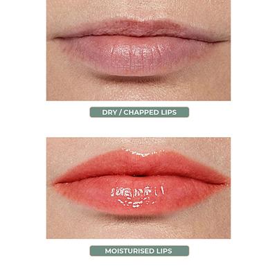 Organic Harvest Pomegranate Lip Balm 8 gm - Lip Balms