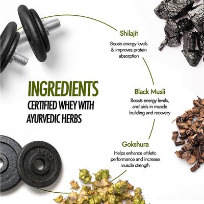 Kapiva Him Foods Testofuel Shilajit Whey Powder - Chocolate 1 kg - Whey Proteins