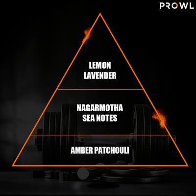 Prowl By Tiger Shroff, Deodorant Perfume Body Spray - Rush 200 ml - Men Deodorants/Roll-Ons